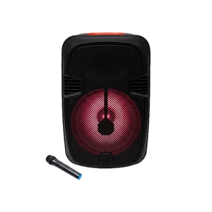 Bocina recargable Greatnice 12"