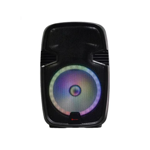 Altavoz recargable 12" de 60 Watts