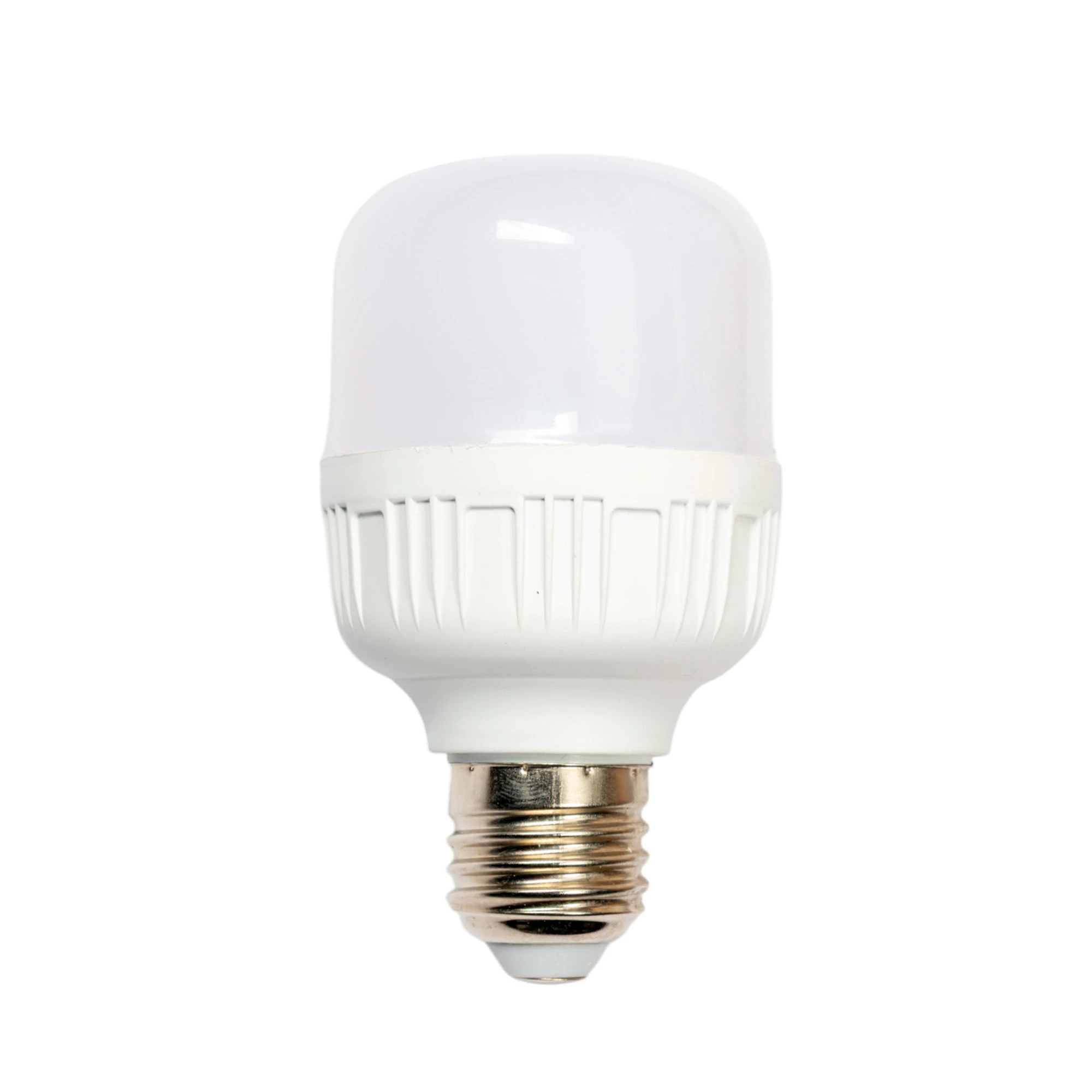 Bombillo LED tipo globo 10 Watts