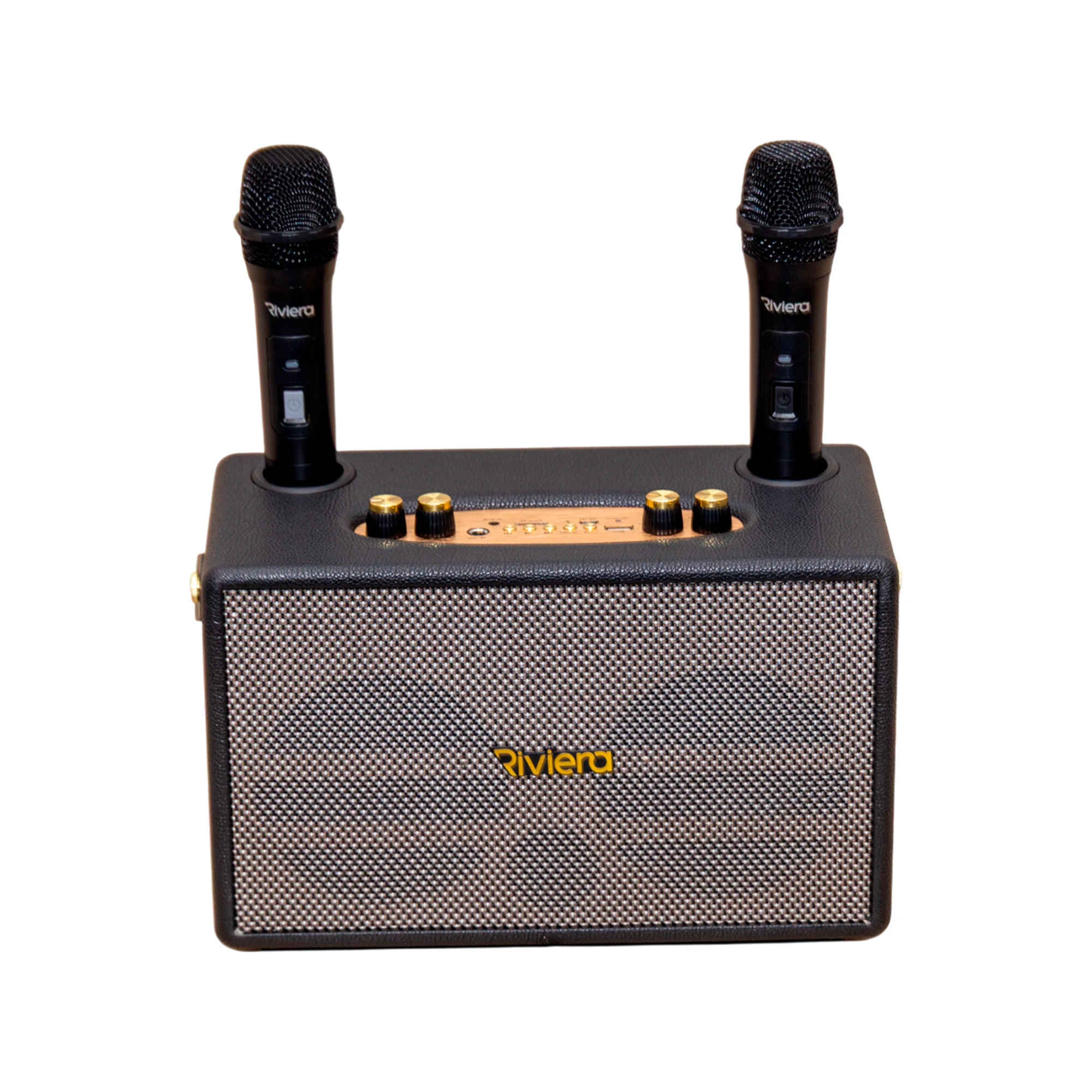 Altavoz portátil 25W Riviera