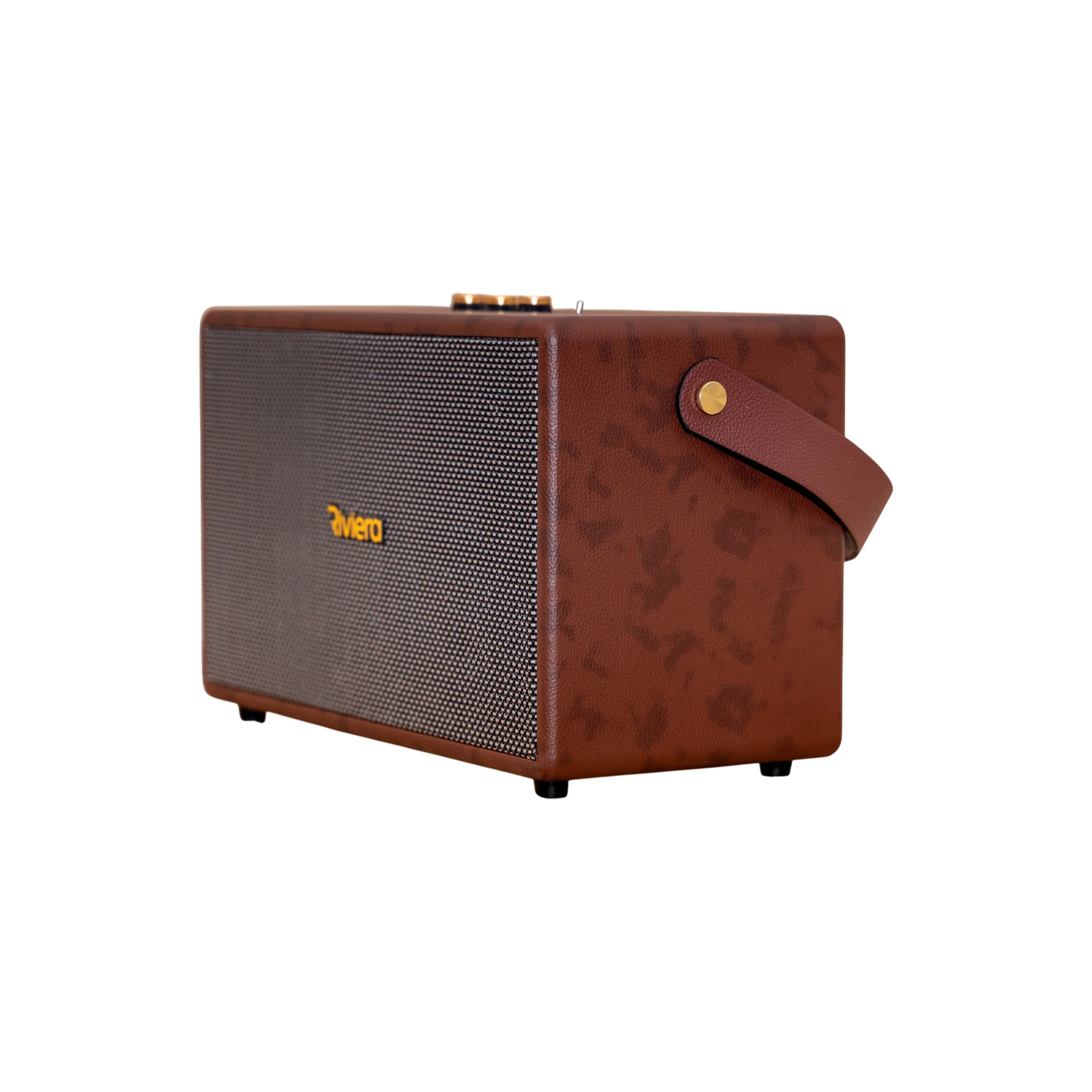 Altavoz portátil 25W Riviera
