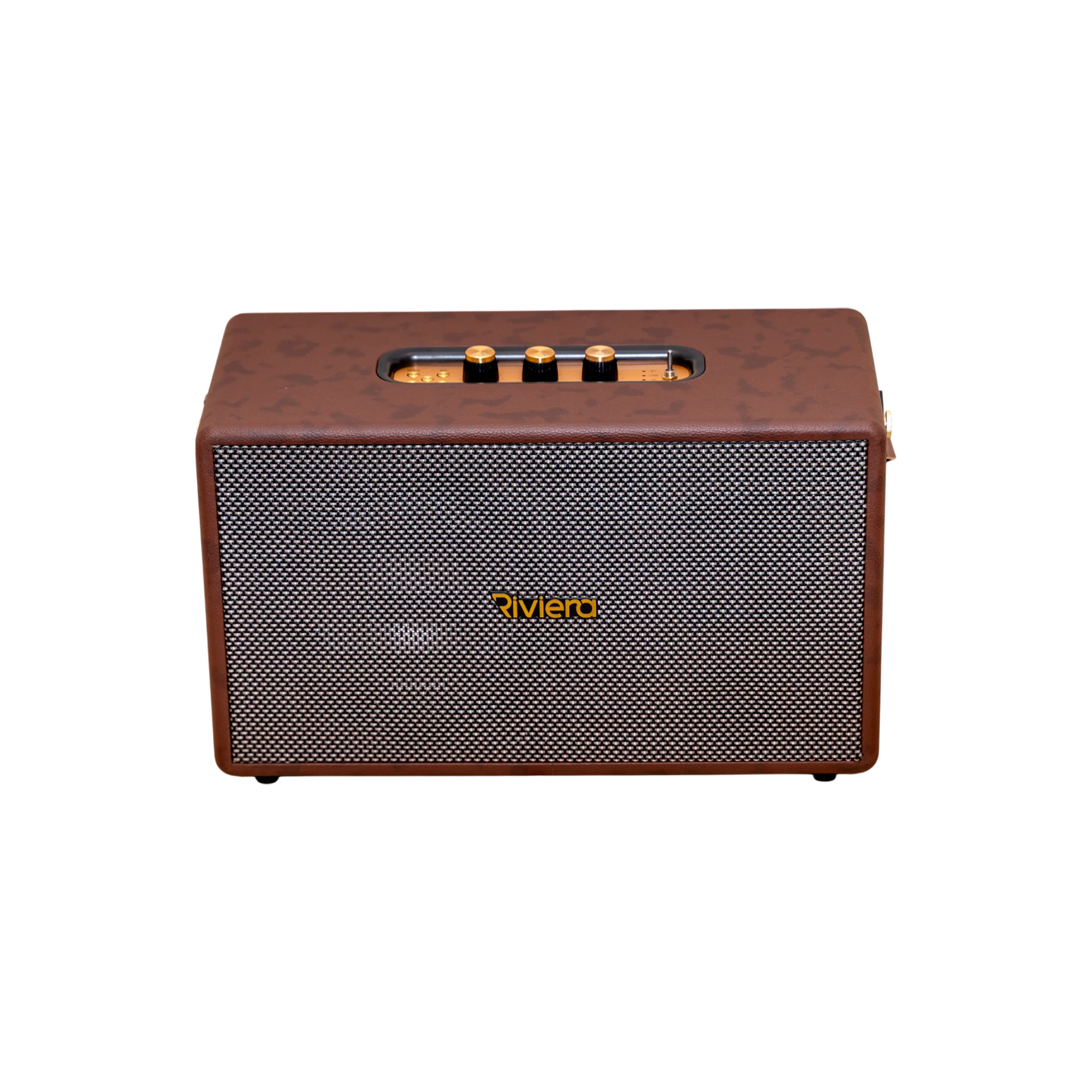 Altavoz portátil 25W Riviera