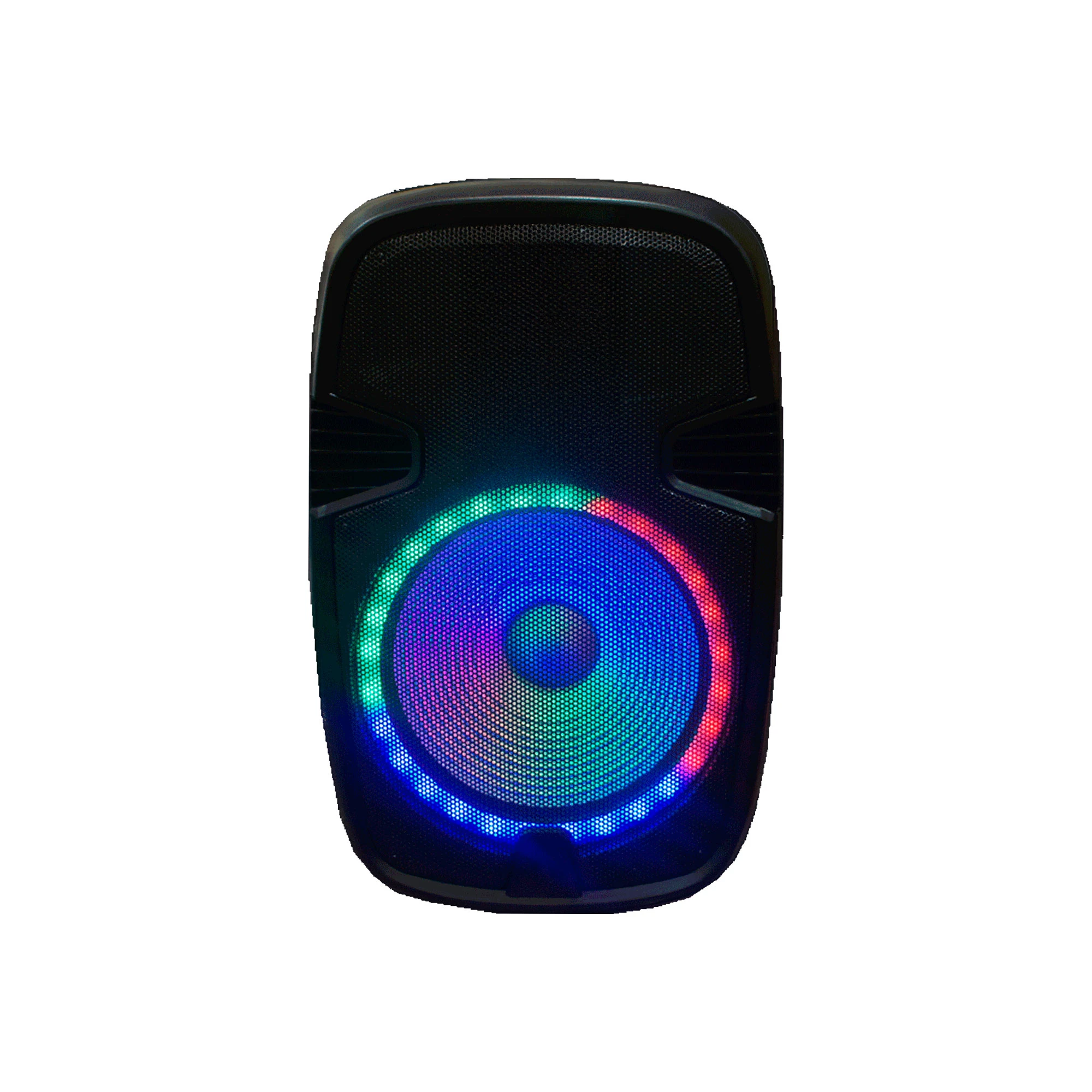 Bocina recargable de 15 pulgadas